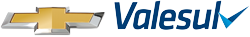 logo-valesul-removebg-preview